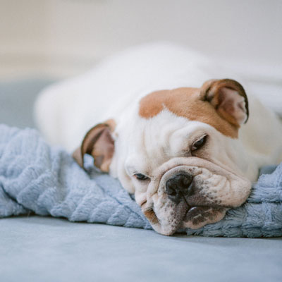 Rest, Relax & Recharge